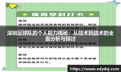 深圳足球队的个人能力揭秘：从技术到战术的全面分析与探讨