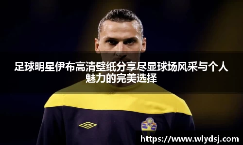 足球明星伊布高清壁纸分享尽显球场风采与个人魅力的完美选择