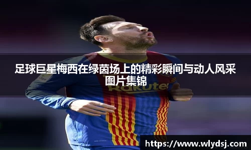bsports官网